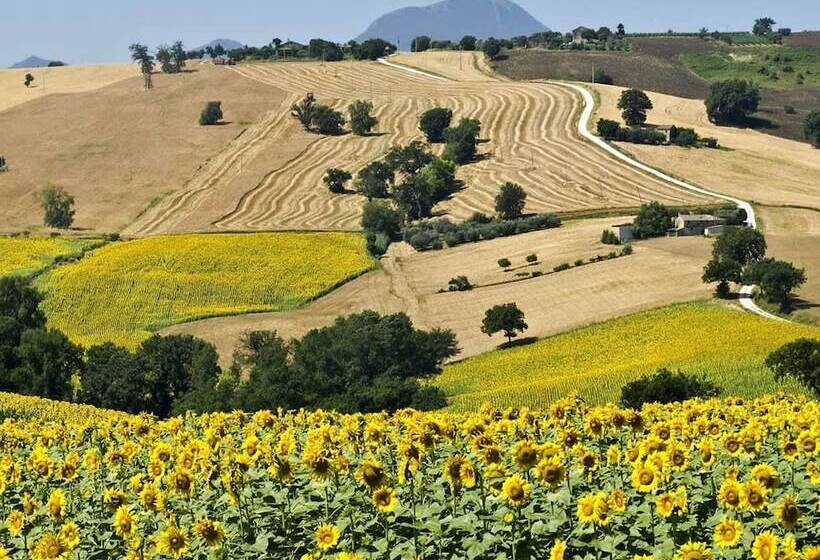 Apartment In Restored Farmhouse, Beautiful Views Over The Hills And Pool