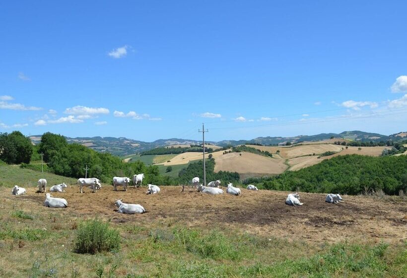Apartment In Restored Farmhouse, Beautiful Views Over The Hills And Pool