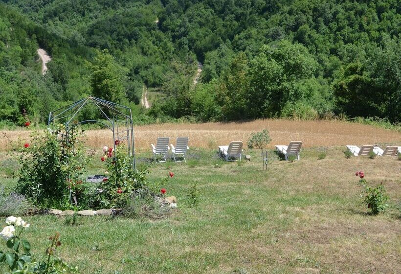 Apartment In Restored Farmhouse, Beautiful Views Over The Hills And Pool