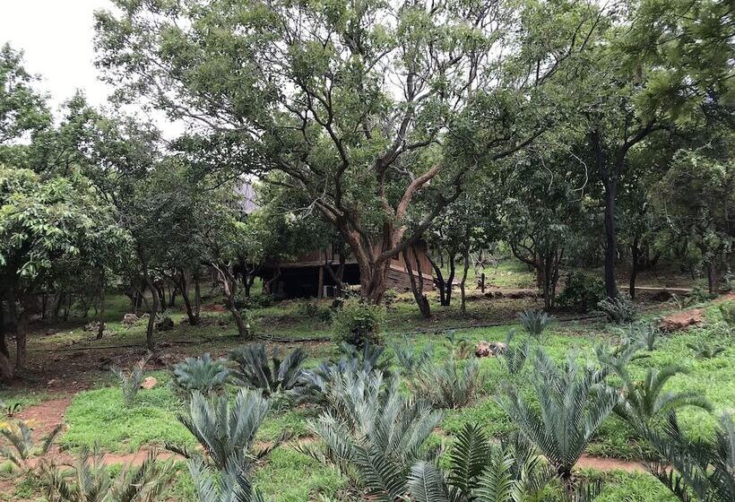 فندق Amafu Forest Lodge