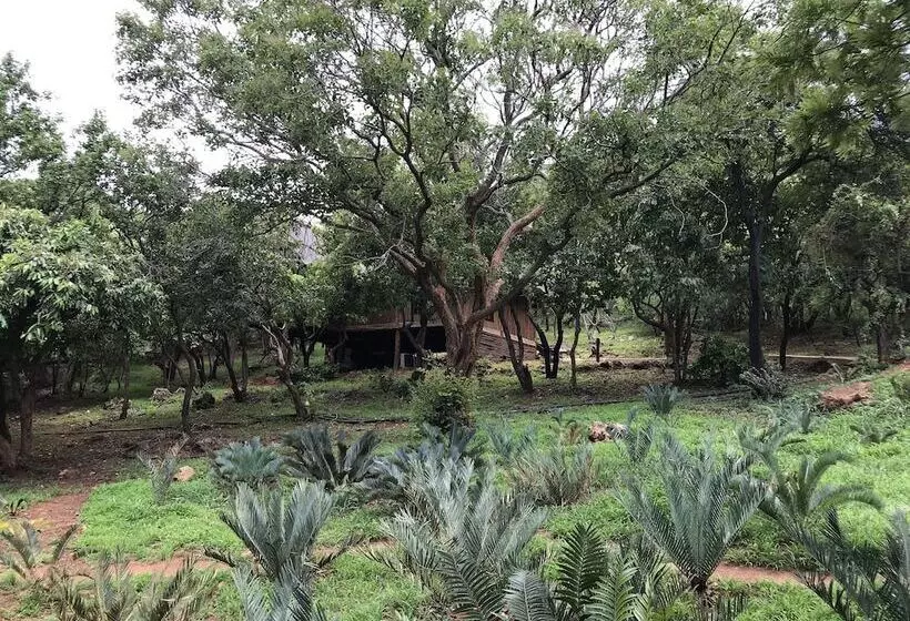 Hotelli Amafu Forest Lodge