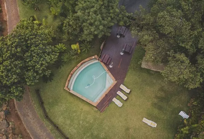 Hotelli Amafu Forest Lodge