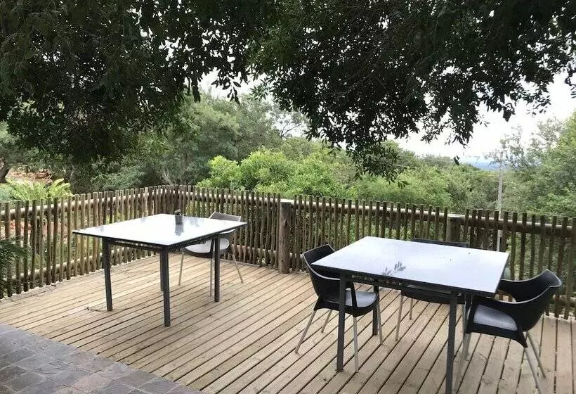 Hotelli Amafu Forest Lodge