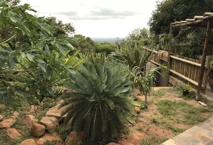 Hotelli Amafu Forest Lodge