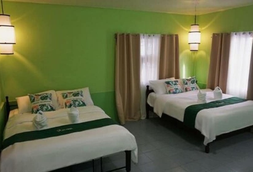 Mwr Pension House By Cocotel