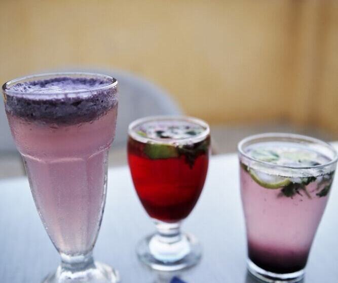 پانسیون The View Pyramids