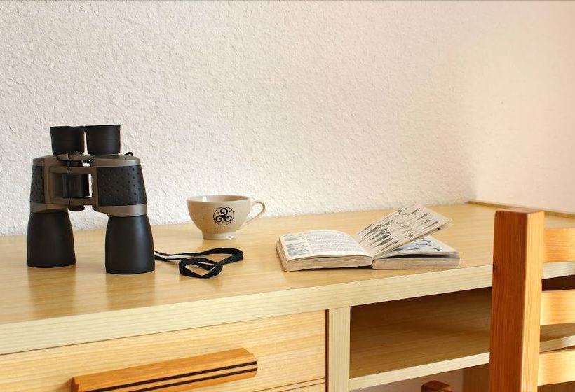 Rhodogîtes Du Goëlo Azalée