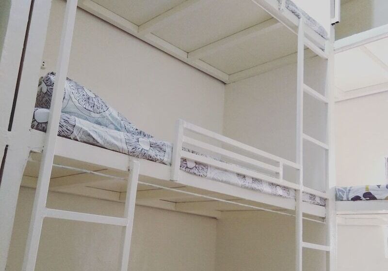 Bee Force Backpackers Hostel