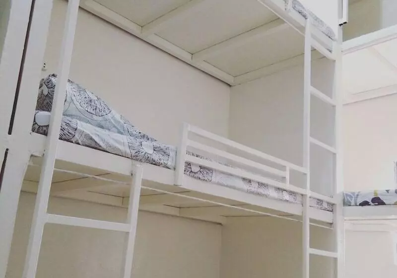 Bee Force Backpackers   Hostel