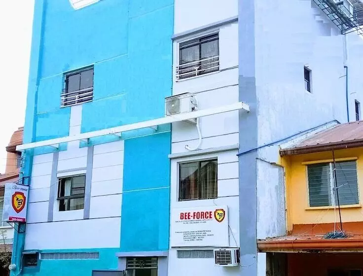 Bee Force Backpackers   Hostel