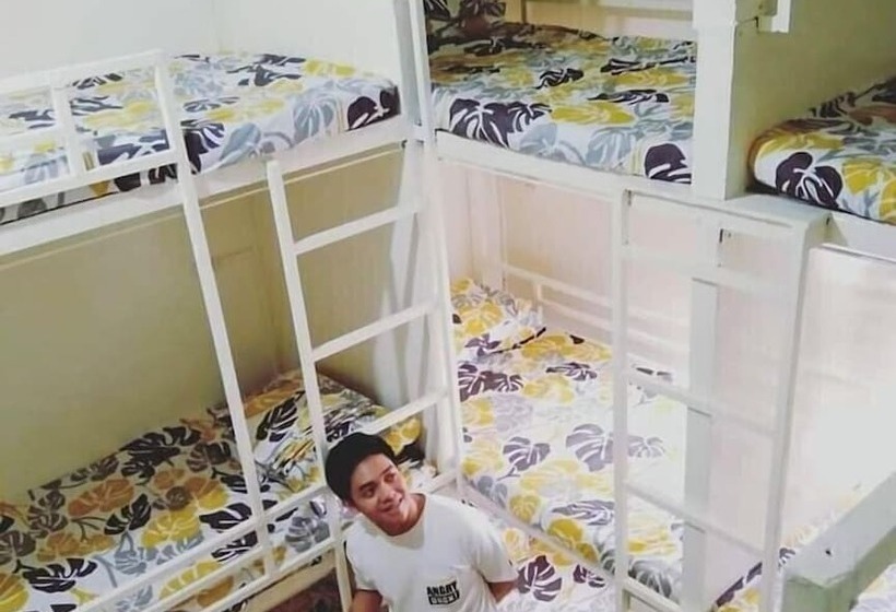 Bee Force Backpackers Hostel