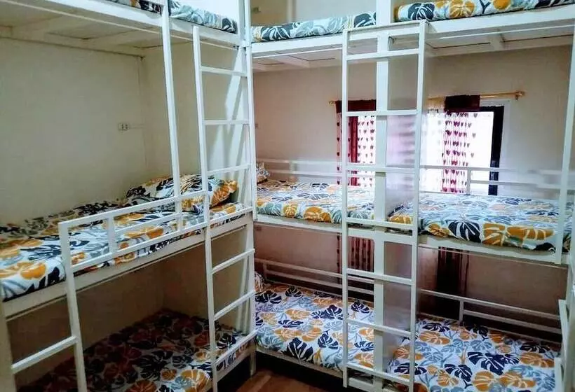 Bee Force Backpackers   Hostel