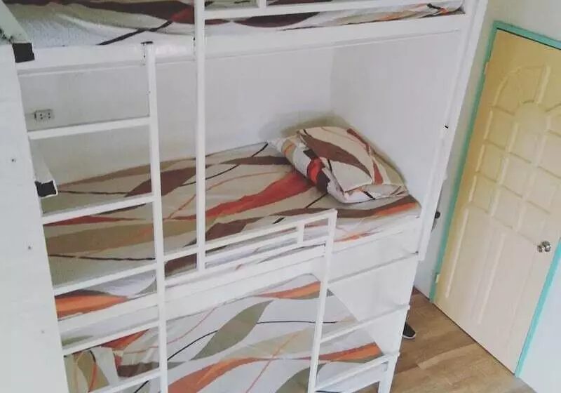 Bee Force Backpackers   Hostel