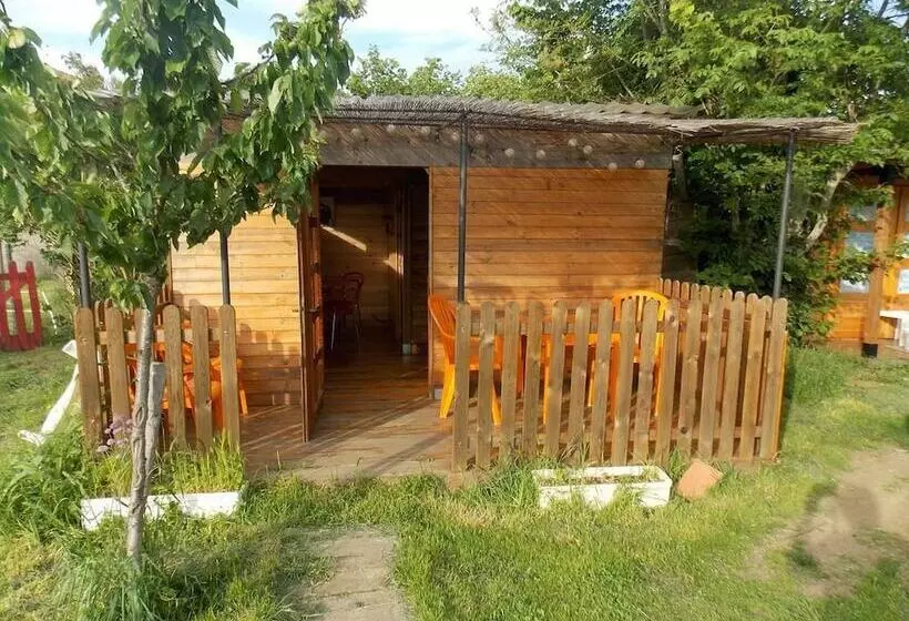 Hotelli Yourte Mongole