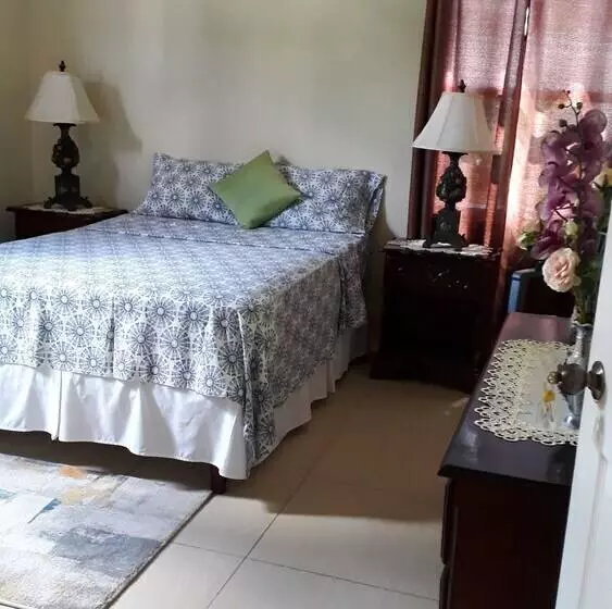 پانسیون Spanish Town Secured Gated