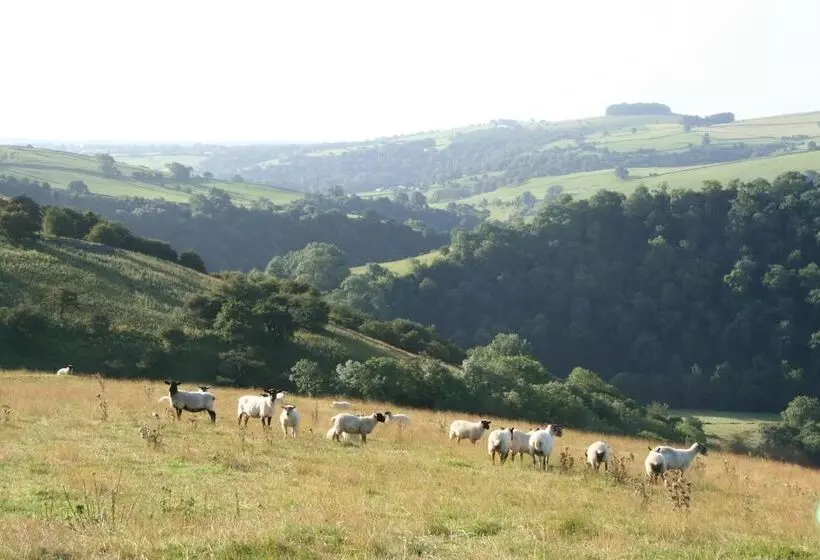 The Little Vicarage Holiday Cottage