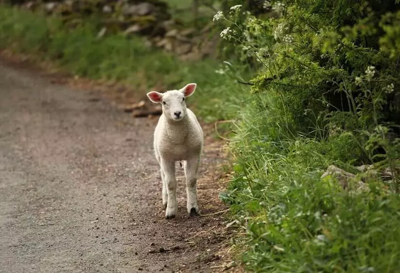 The Little Vicarage Holiday Cottage