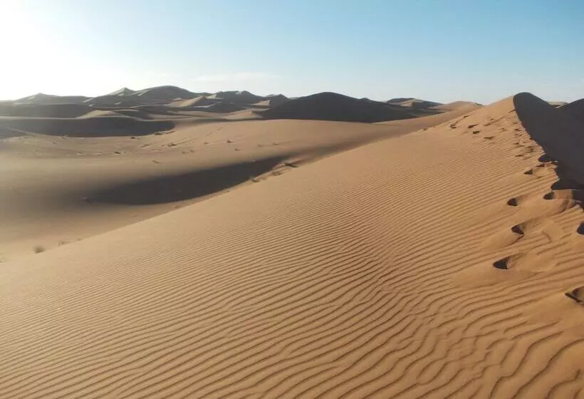 ホテル Bivouac Draa   Nuit Dans Le Désert