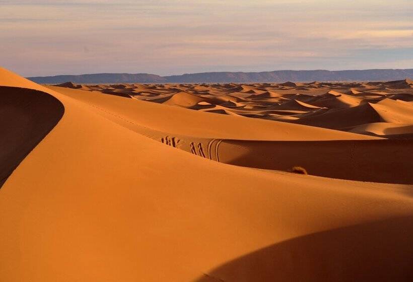Hotel Bivouac Draa   Nuit Dans Le Désert