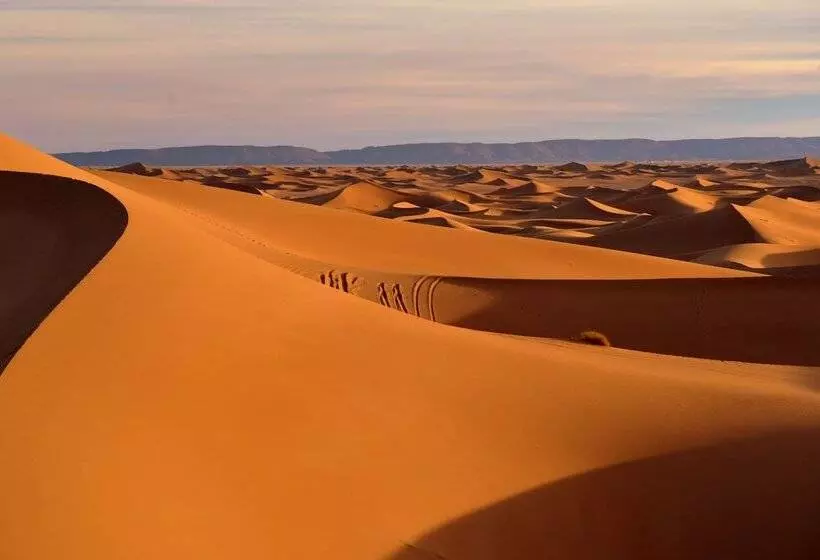 ホテル Bivouac Draa   Nuit Dans Le Désert