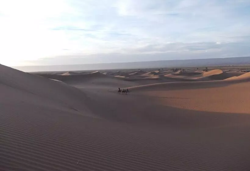 ホテル Bivouac Draa   Nuit Dans Le Désert