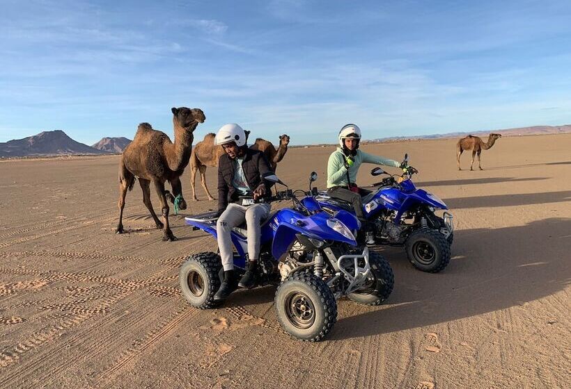 Hotel Bivouac Draa   Nuit Dans Le Désert