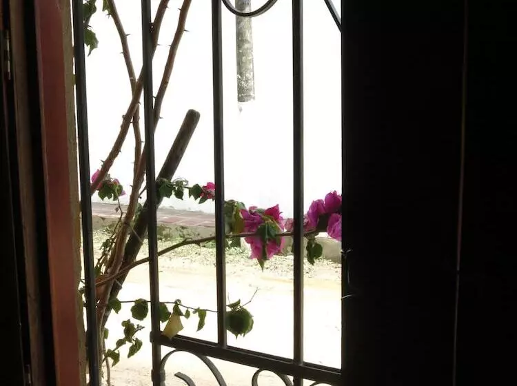 ベッドアンドブレックファースト Hostel La Casa Del Viajero Mompox