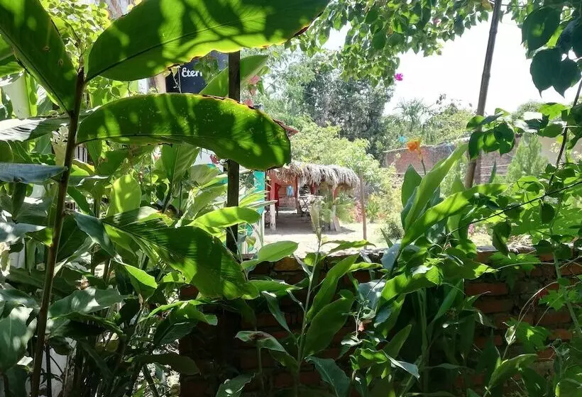 ベッドアンドブレックファースト Hostel La Casa Del Viajero Mompox