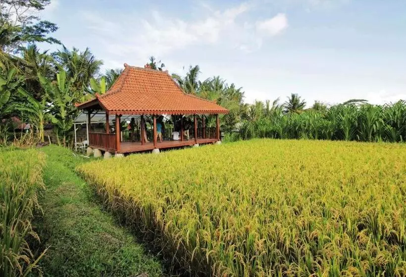 Hotelli Alam Kawi Ubud Resort & Spa