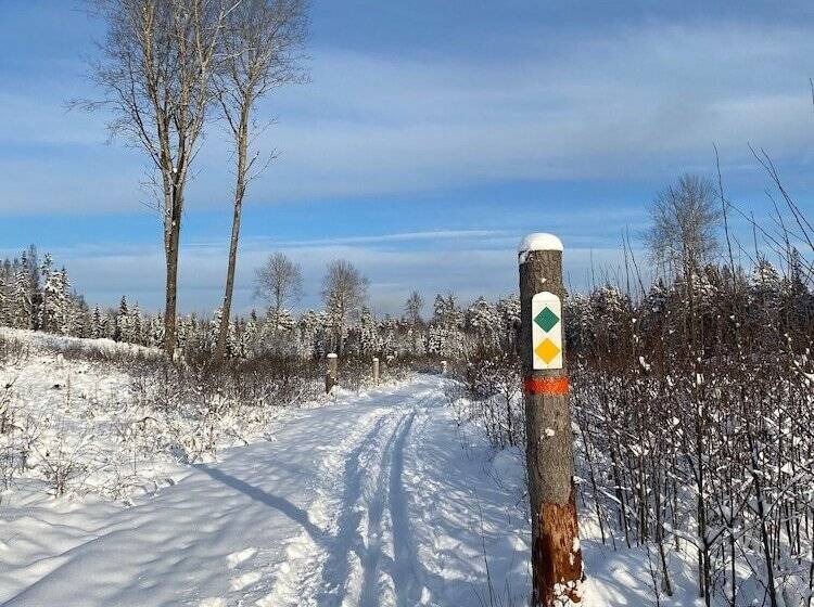 Magnolia House Norrviken