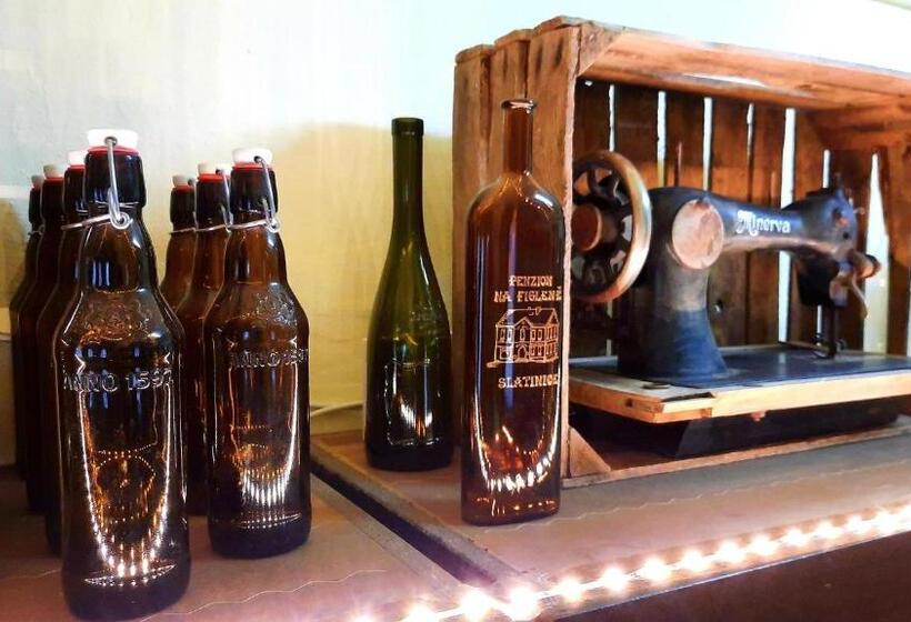 פנסיון Penzion Na Figleně