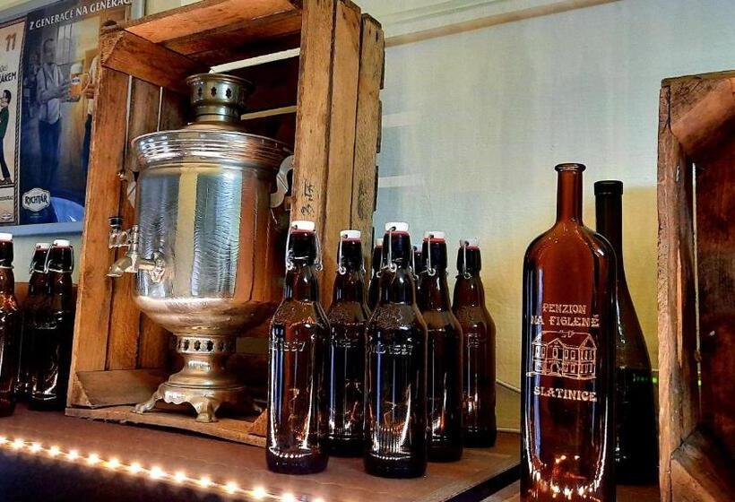 פנסיון Penzion Na Figleně