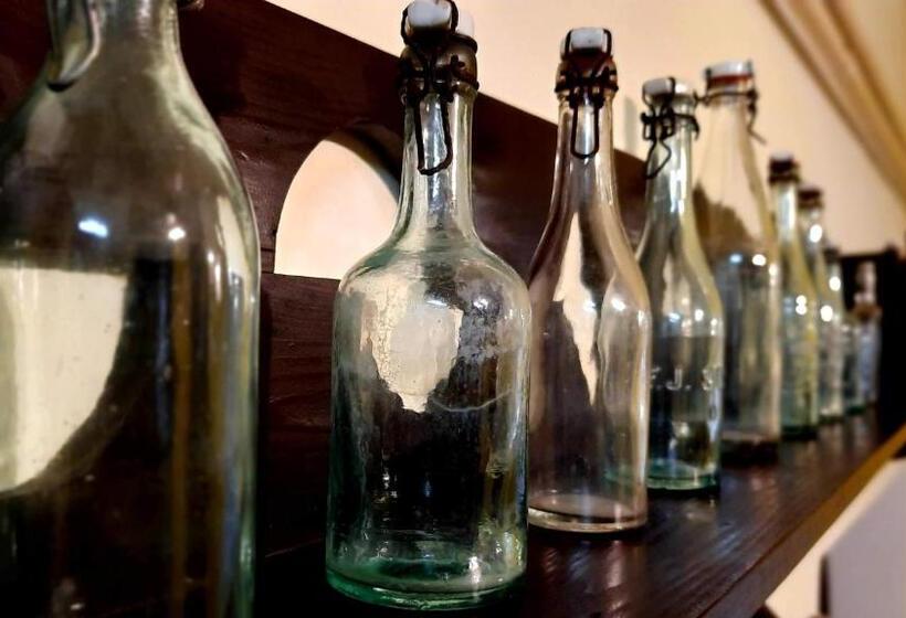 פנסיון Penzion Na Figleně