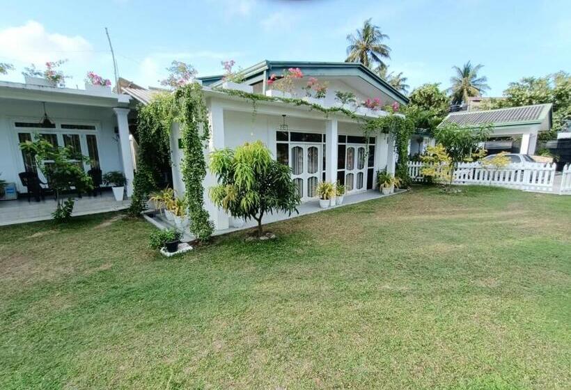 Pensió The Bamboo Tree Transit