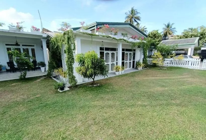 ペンション The Bamboo Tree Transit