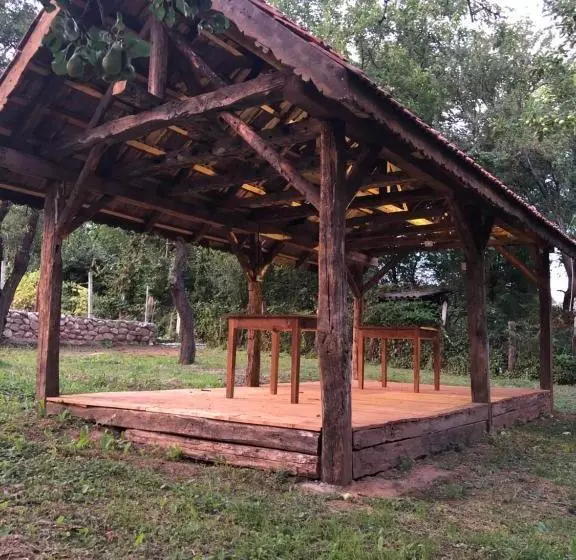 Pension The Carpathian Lodge