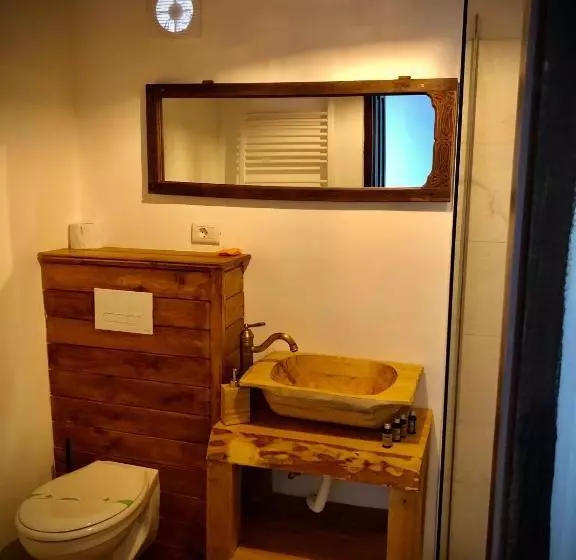 Pension The Carpathian Lodge