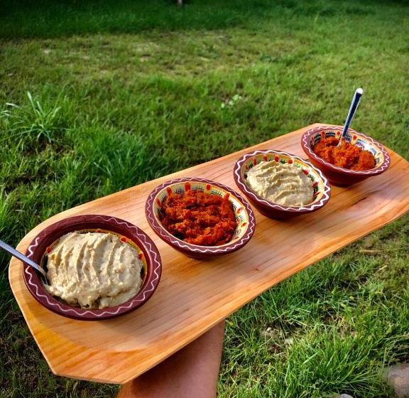 بنسيون The Carpathian Lodge