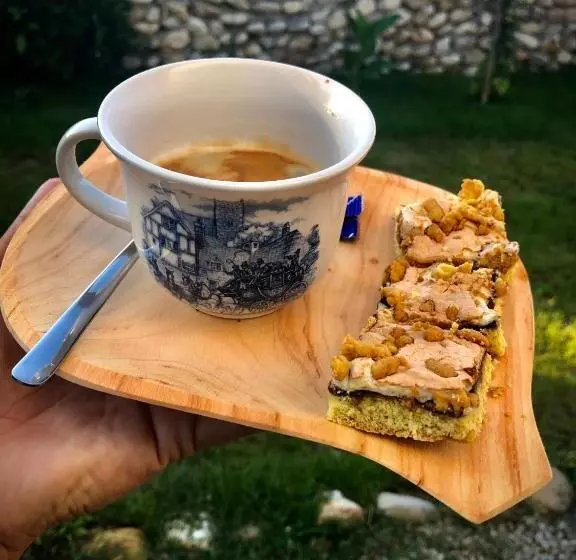 Pension The Carpathian Lodge