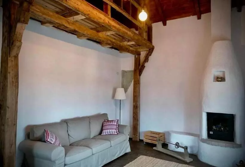 Pension The Carpathian Lodge