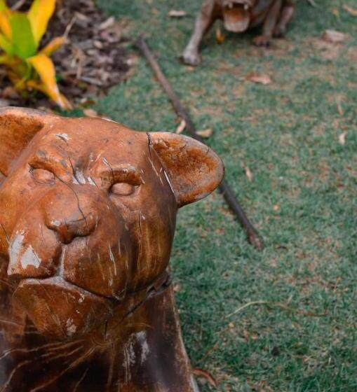 リゾートホテル Capão Do Cerrado Pousada E Spa