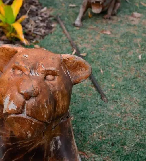 Lomakeskus Capão Do Cerrado Pousada E Spa