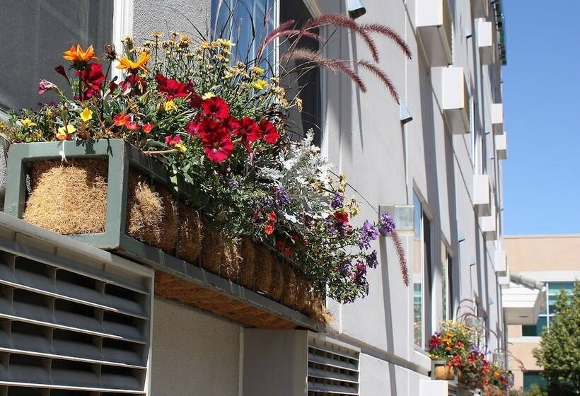 فندق Hilltop Inn By Riversage