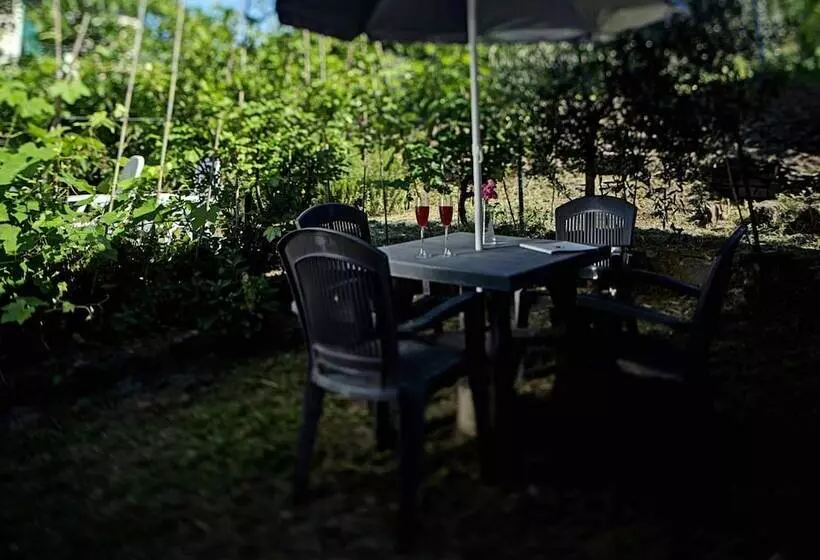 Отель Del Borgo