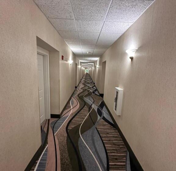 Отель Mainstay Suites Madison Airport