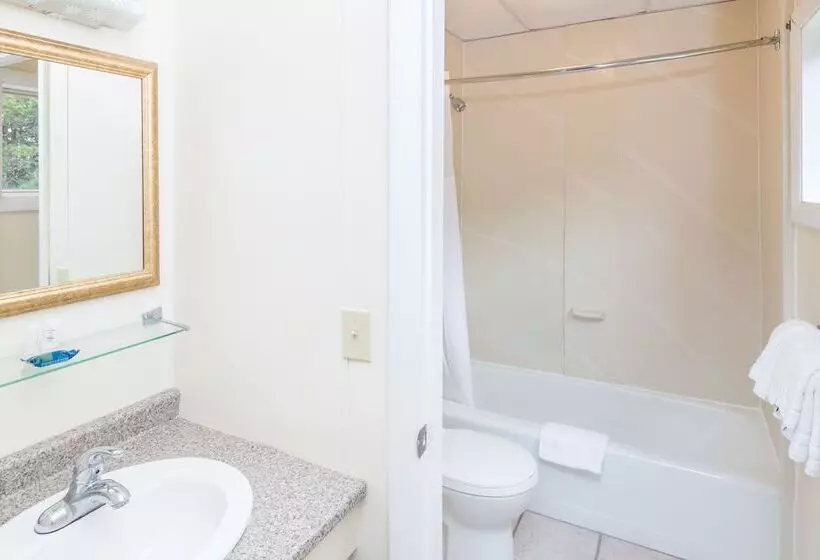 ホテル Ocean Park Inn