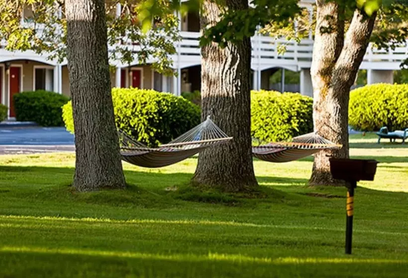 ホテル Ocean Park Inn