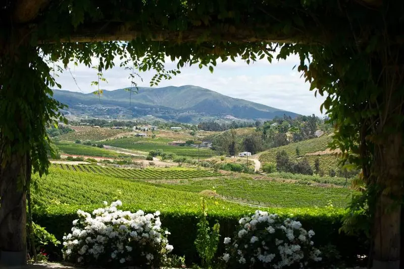 Отель South Coast Winery Resort & Spa