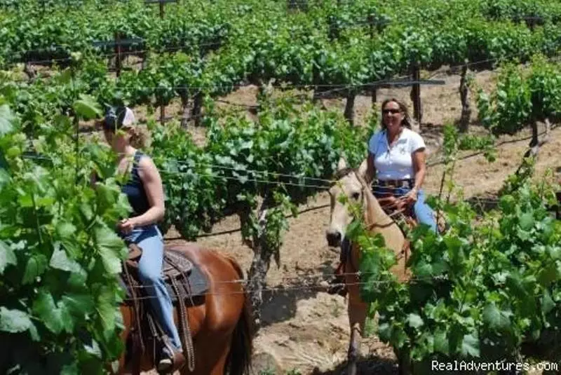 Отель South Coast Winery Resort & Spa