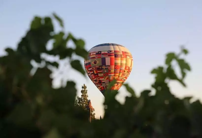 Отель South Coast Winery Resort & Spa